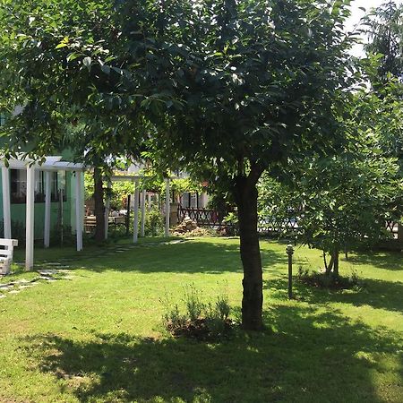 Villa Elmar Kiten  Luaran gambar